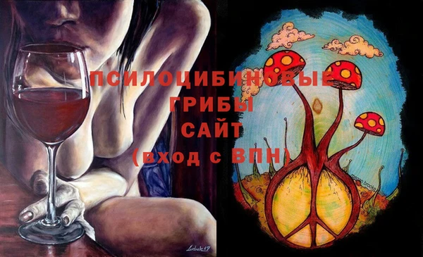 МДПВ Магадан