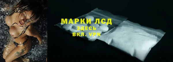 стаф Березники