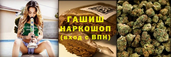 крисы Майский