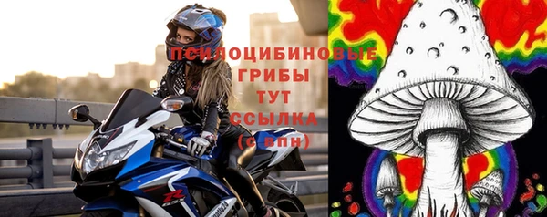 крисы Майский
