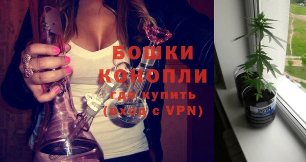 крисы Майский