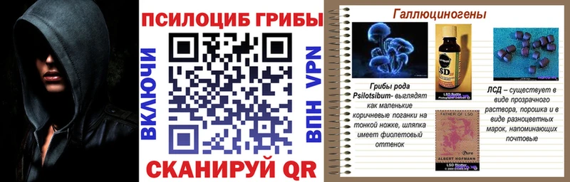 Псилоцибиновые грибы GOLDEN TEACHER  Заозёрный 